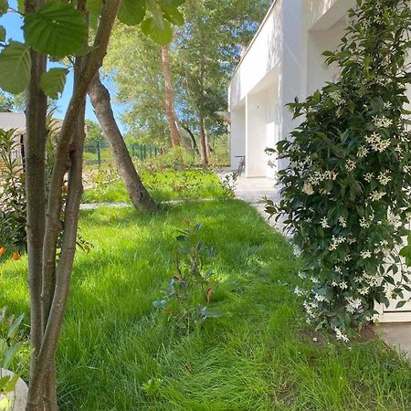 Villa Hanna أولتْسي المظهر الخارجي الصورة