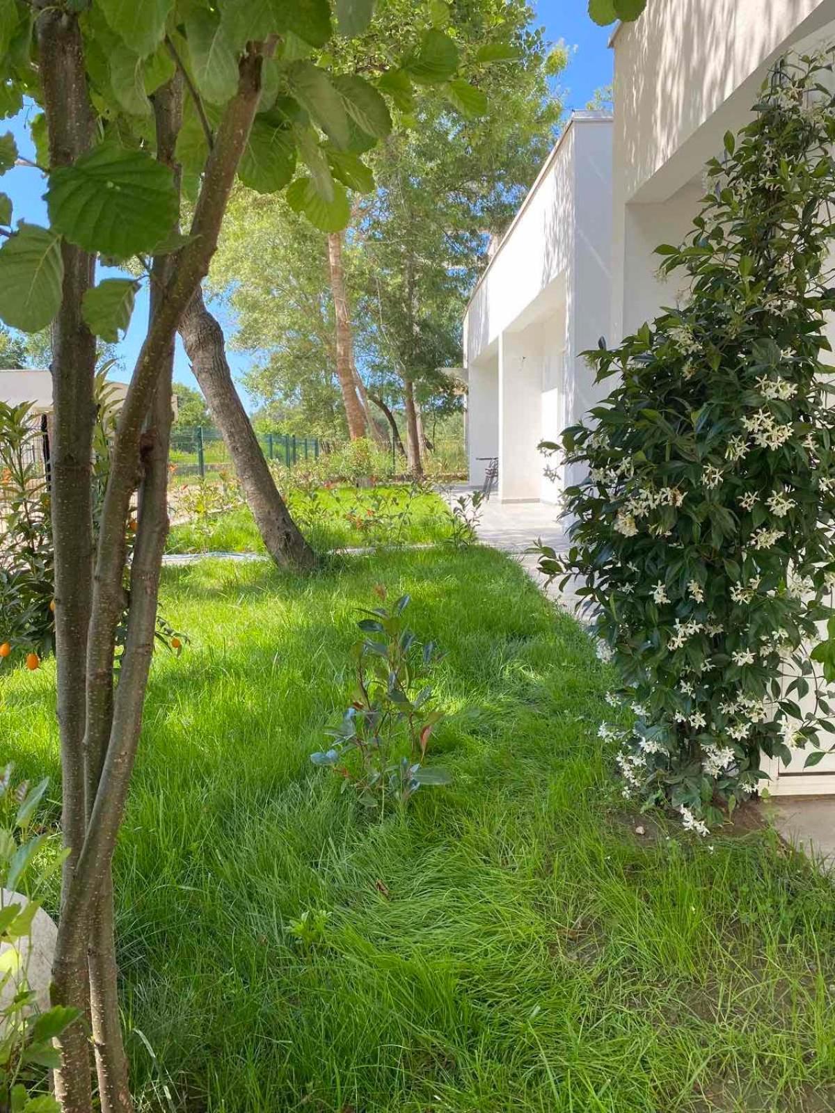 Villa Hanna أولتْسي المظهر الخارجي الصورة